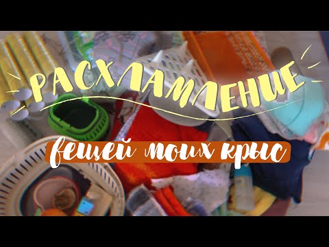 ВСЕ ВЕЩИ МОИХ КРЫС🙊