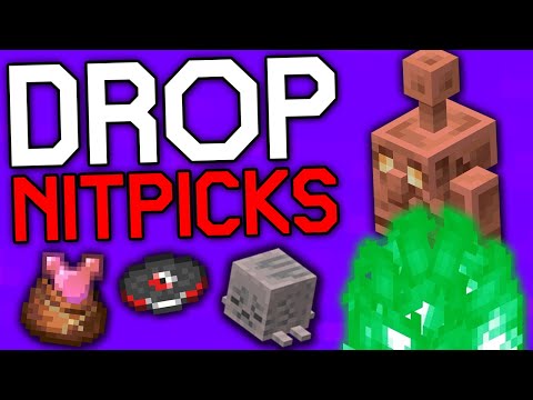 My Nitpicks for the Minecraft Drops!