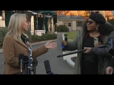'You're yelling': Karoline Leavitt savagely shuts down interrupting reporter