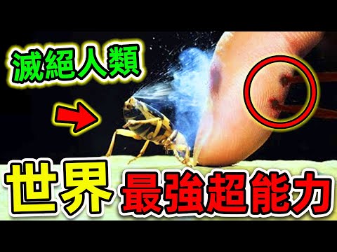 全世界擁有超能力的10個動物!“無限分身”只排第8,第一名堪稱“生物之神”,科學家至今無法解釋。|#世界之最top #世界之最 #出類拔萃 #腦洞大開 #top10 #最強超能力 #超能力動物