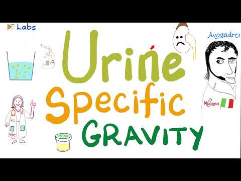 Urine specific gravity - Density - Concentrated vs Diluted Urine - Urinalysis