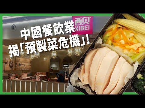 「兒童餐比兒童年齡還大」? 中國餐飲業揭「預製菜危機」! 民眾為何這麼痛恨「預製菜」? 【TODAY 看世界|小發明大革命】