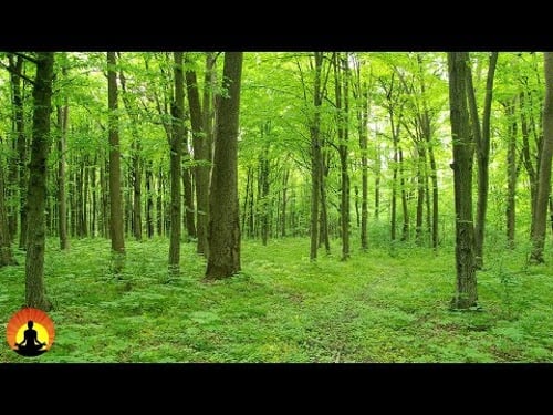 6 Hour Deep Healing Music: Relaxing Music, Meditation Music, Soothing Music, Relaxation Music, ☯933