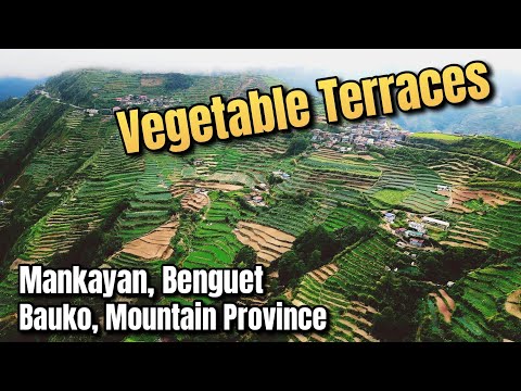 Napuntahan natin ang isa sa Pinaka Malawak na Taniman ng Gulay sa Cordillera