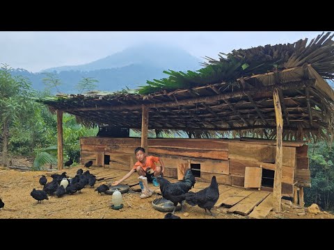 FULL VIDEO 35 days to build a chicken farm, build a birdhouse grow vegetables and harvest vegetables