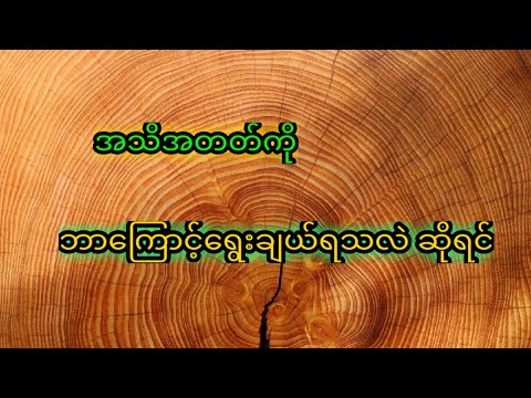 အသိအတတ်ကို ကျတော်ဘာ ကြောင့်ကြိုက်နှစ်သက်တာလဲ