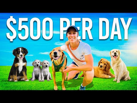 Making $500 Per Day with Professional Dog Walking | Proven Strategies & Insider Tips