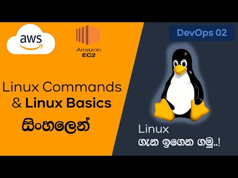 Linux Commands and Linux Basics - Sinhala Tutorial - How to get started with Linux terminal