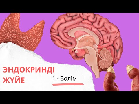 эндокринді жүйеге кіріспе| гипоталамус, гипофиз 1 - бөлім