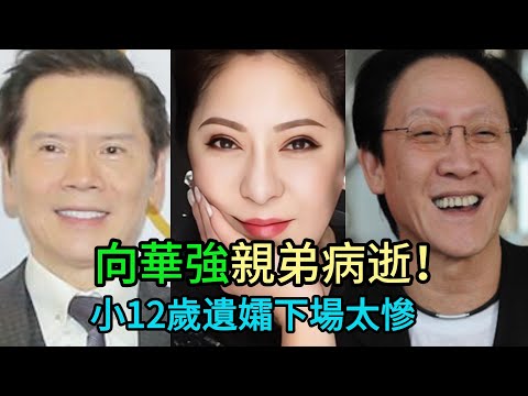 豪門唏噓!向華勝癌逝10年,百億遺產無人送終?小12歲無子遺孀“守寡真容”曝光,向太陳嵐私下舉動太催淚!#向華勝#向華強#向太