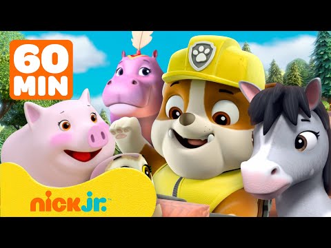 Щенячий патруль | Крепыш и дикие спасения животных! | 1 час | Nick Jr. Cyrillic
