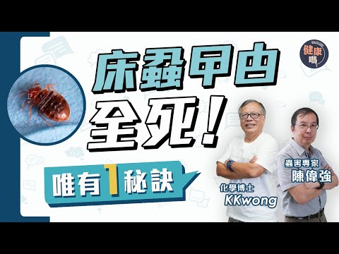 床蝨進化 煙霧彈殺不死反毒到自己 善用風筒肥皂水滅蝨|如何分蚊咬蝨咬?留意1特徵|家中3地方易藏蝨 教你用電筒快速檢查|健康嗎@HealthCode【Chat醫D】#床蝨 #滅蝨 #防蝨