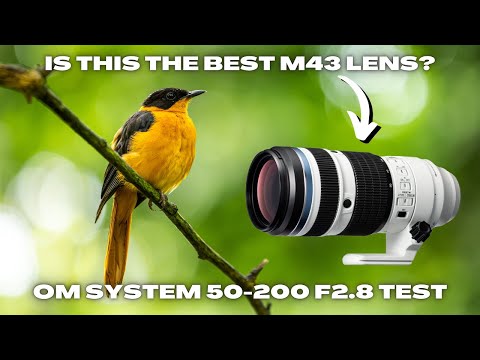 OM System 50-200 F2.8 Tested in a Giant Indoor Rainforest OM-1 MKII