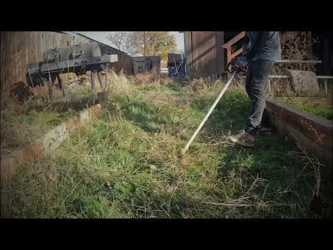 Yard #10 | Returning to the First Yard | The Aestheticlawns Project