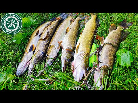 ВОБЛЕР ЗА 150Р ВЫКОСИЛ ВСЮ РЫБУ ! Ловля щуки 2023