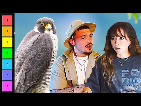 Reacting to The Bird Tier List by TierZoo W/ Adapt!