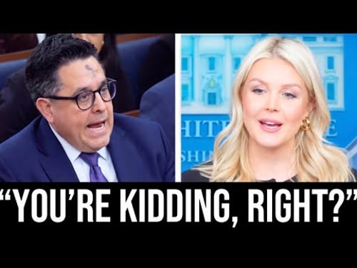 Reporter Asks Leavitt For ONE Example She Couldn’t Answer