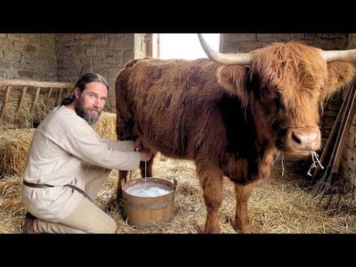 Why Medieval Raw Milk Was A Superfood While Your Modern Milk Makes You Sick