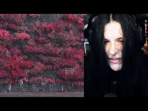 Sleep Token - Even In Arcadia (Had Me On My Knees) Full Album REACTION!