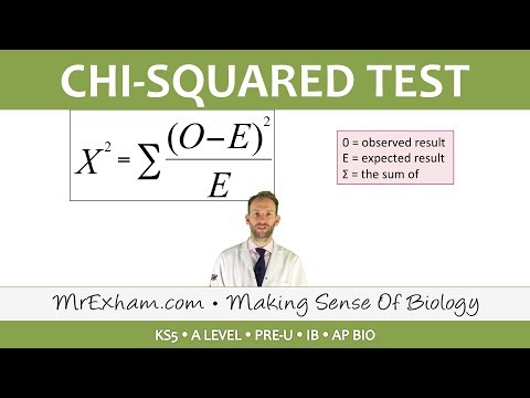Chi-squared test - Post 16 Biology (A Level, Pre-U, IB, AP Bio)