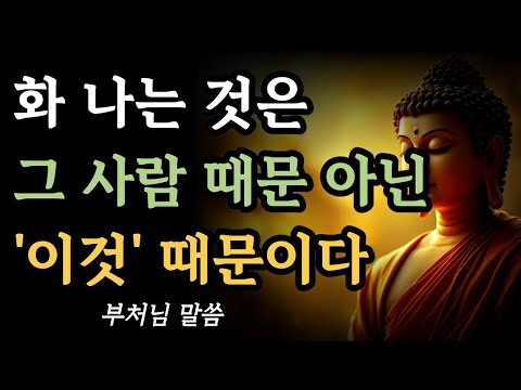 지금 화가 나는 건 그 사람이 아니라, 내 기대 때문이다ㅣ타인에게 아무것도 기대하지 마라ㅣ부처님 말씀ㅣ불교 명언ㅣ석가모니 가르침ㅣ마음다스림