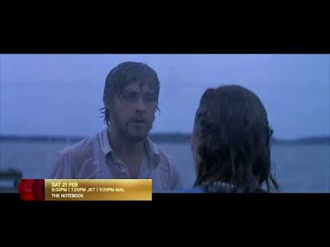 HITS MOVIE THE NOTEBOOK