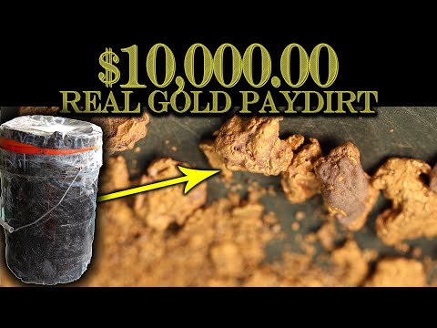 $10,000.00 GOLD BUCKET OF PAYDIRT (The Most Expensive Ever!)