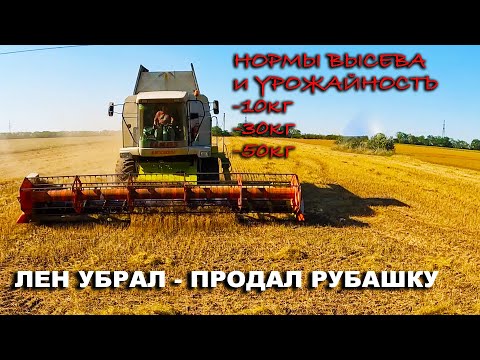 Урожайность льна на разных нормах высева