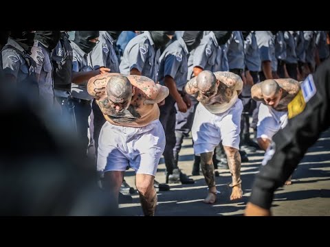 PARTE 4 | Masivo Traslado de Pandilleros en El Salvador | REGISTRO en la Megacárcel