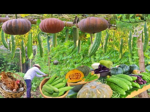 Vegetable Overload! My Garden is Overflowing with Homegrown Vegetables - an Ultimate Bounty!