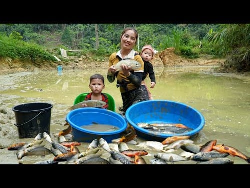 Harvest a giant fish pond to sell at the market - Cook a warm meal together with your children
