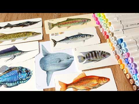 Drawing Fish with Alcohol Markers | ocean ASMR 🌊