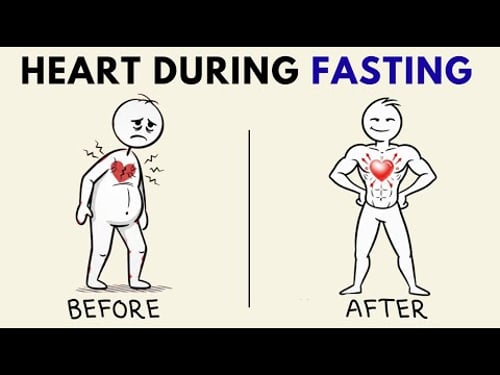 What Happens to Heart Health When You Use Intermittent Fasting Long Term (Science Explained)