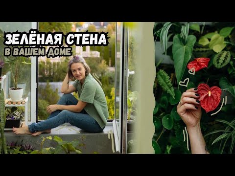 Зелёная стена в вашем доме / Как ухаживать / Что учесть / Как озеленять стены в доме