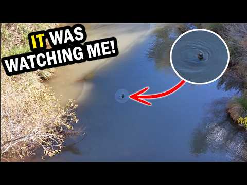 While Exploring a Canyon "Something" Locked Eyes with my Drone!