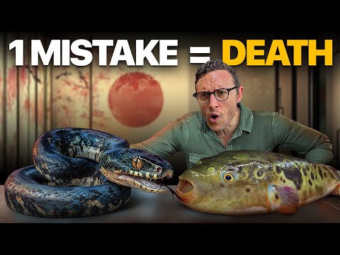 Finding Japan’s Deadliest Dish: A full documentary