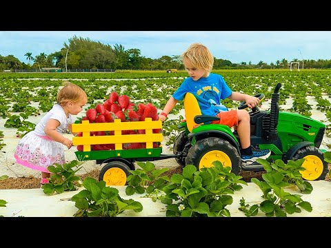 Chris and Mom learn to harvest berries at the farm - funny stories for kids