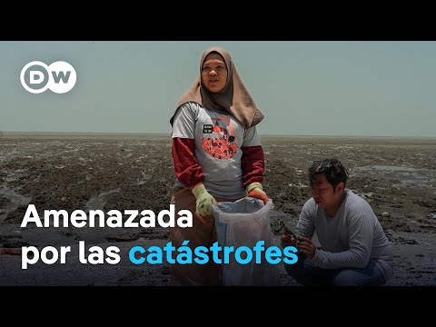 Deforestación e inundaciones: los desastres medioambientales en Indonesia | DW Documental