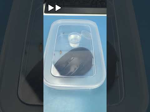 Careful Buying a 2nd Hand Mouse #shorts