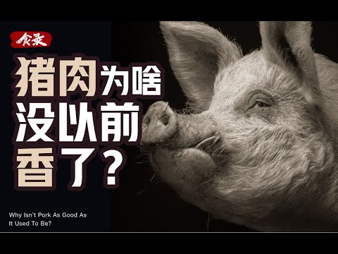 为什么现在的猪肉,吃起来没有以前香了?