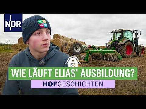 Karsten Dudziak & Elias: Lehrjahre sind keine Herrenjahre | Hofgeschichten (356) | 21.11.2025 | NDR