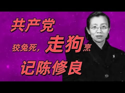 她潜伏在国民党心脏多年,暗中策动、窃取情报,却终究难逃命运审判。今天,我们揭开陈修良的一生,从地下活动到命运落幕,每一步都惊心动魄,不容错过的历史真相!#中共#南京#盐碱地反贼#国民党#蒋介石