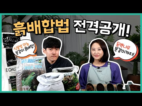 🤔How on earth should I mix my potting soil?! From types of gardening soil to special mixing tips!...