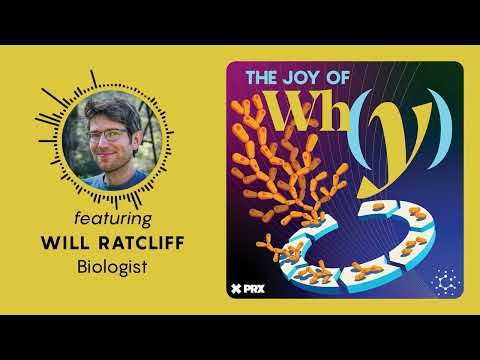 How Did Multicellular Life Evolve? | PODCAST: The Joy of Why