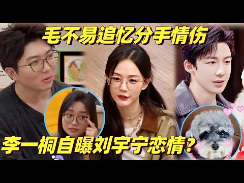 娱乐圈TOP级恋爱脑!李一桐爆刘宇宁狗届虐恋?毛不易回忆分手黯然神伤 | 毛雪汪 | 李雪琴 | 综艺show