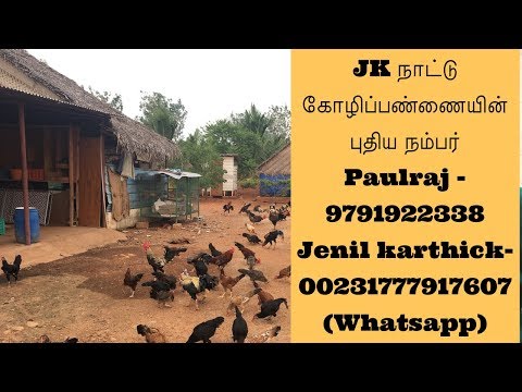 Graduate earns lakhs in poultry farming | 97919 22338
