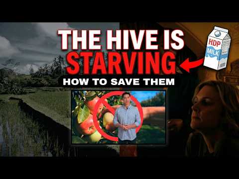 Theory Explains How The Hive Can Be Saved From Starving To Death In Pluribus