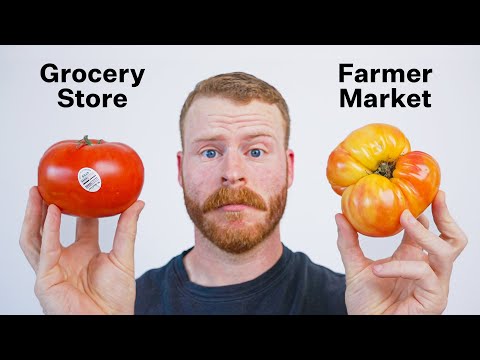 Why do Tomatoes from the Grocery Store taste different?