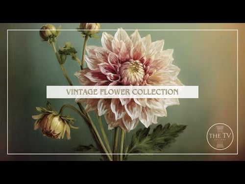 Vintage Floral Collection | 4K TV Frame Art Screensaver | Vintage Floral Inspired Art | 6 Scenes