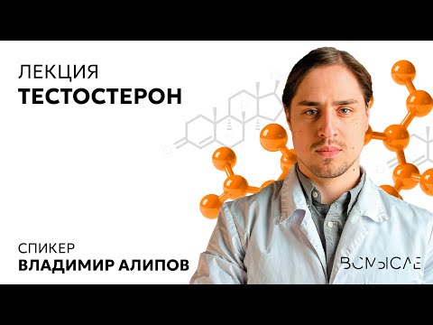 Тестостерон. Владимир Алипов